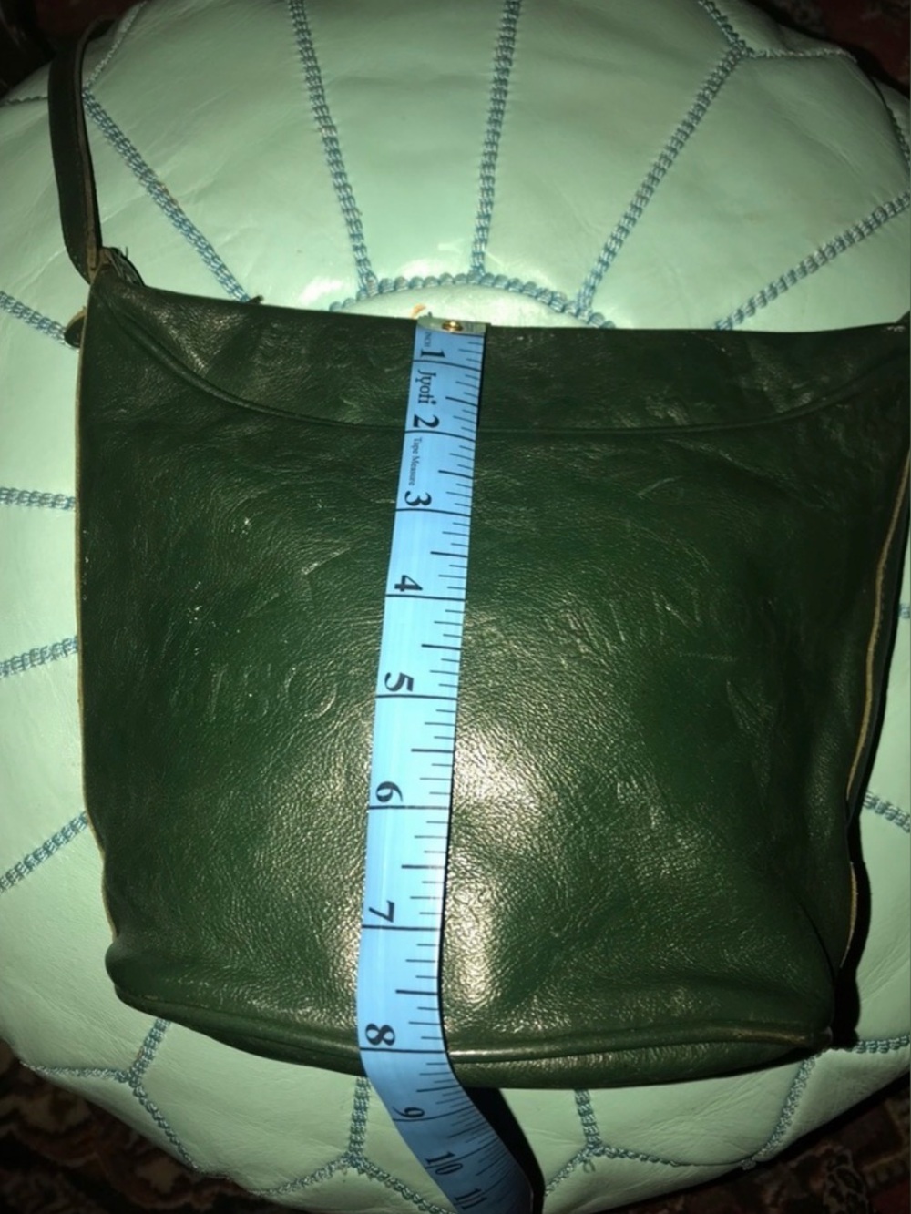 Bisonte handbag green color,